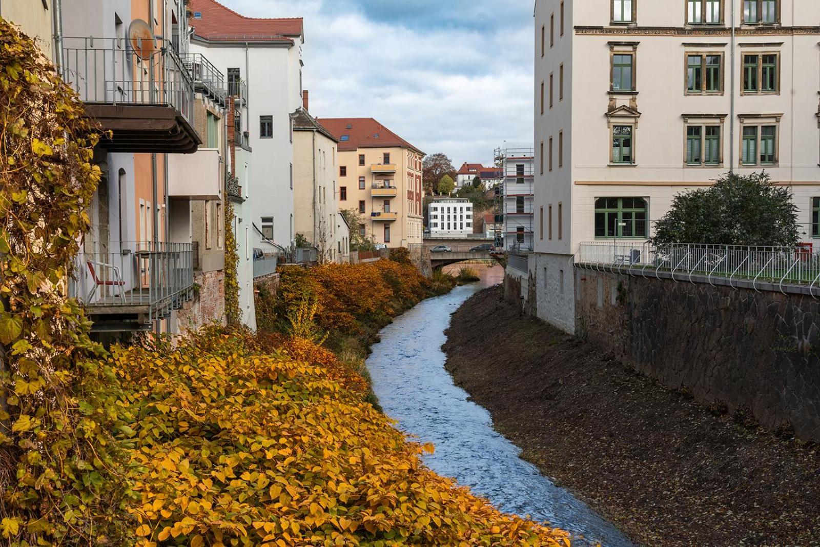 Benville Meissen - Free Parking - Nespresso Kaffee - Stylisch Eksteriør billede
